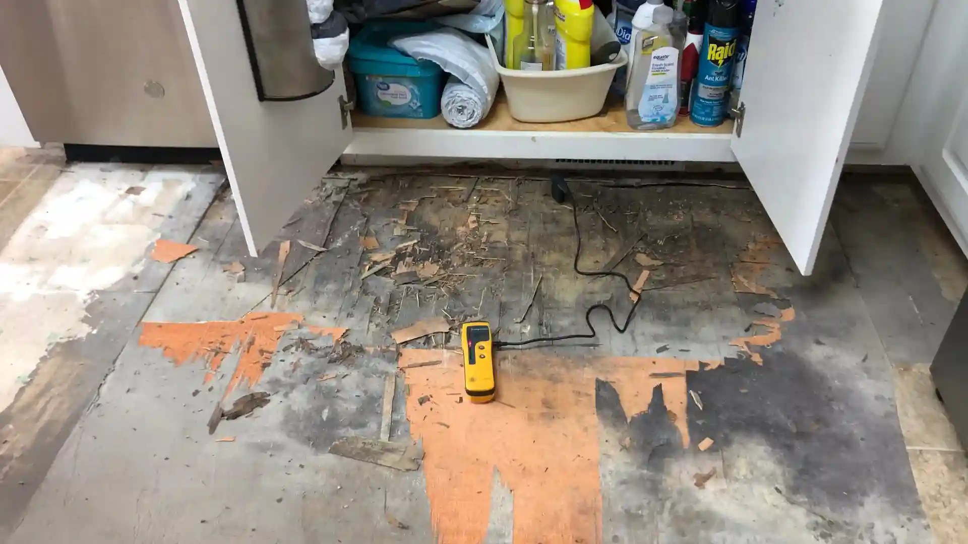 WDR PRO’s - Water Damage Restoration Service